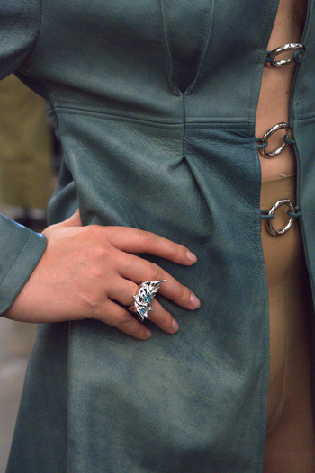 Metallic Collision Ring